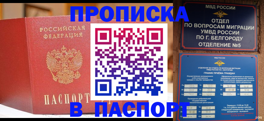 временная регистрация в квартире в Барыше